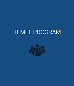 Allen Carr Temel Program